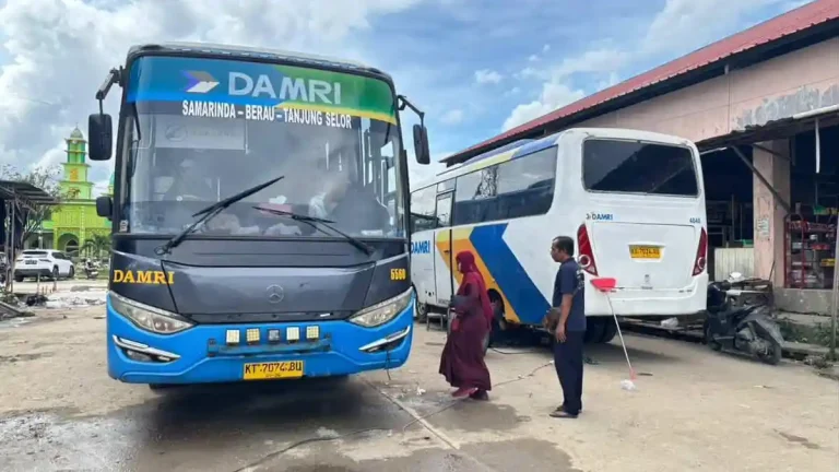 Tarif Tiket Mulai Rp 50.000, Ini Jadwal & Rute Bus Damri dari Tanjung Selor